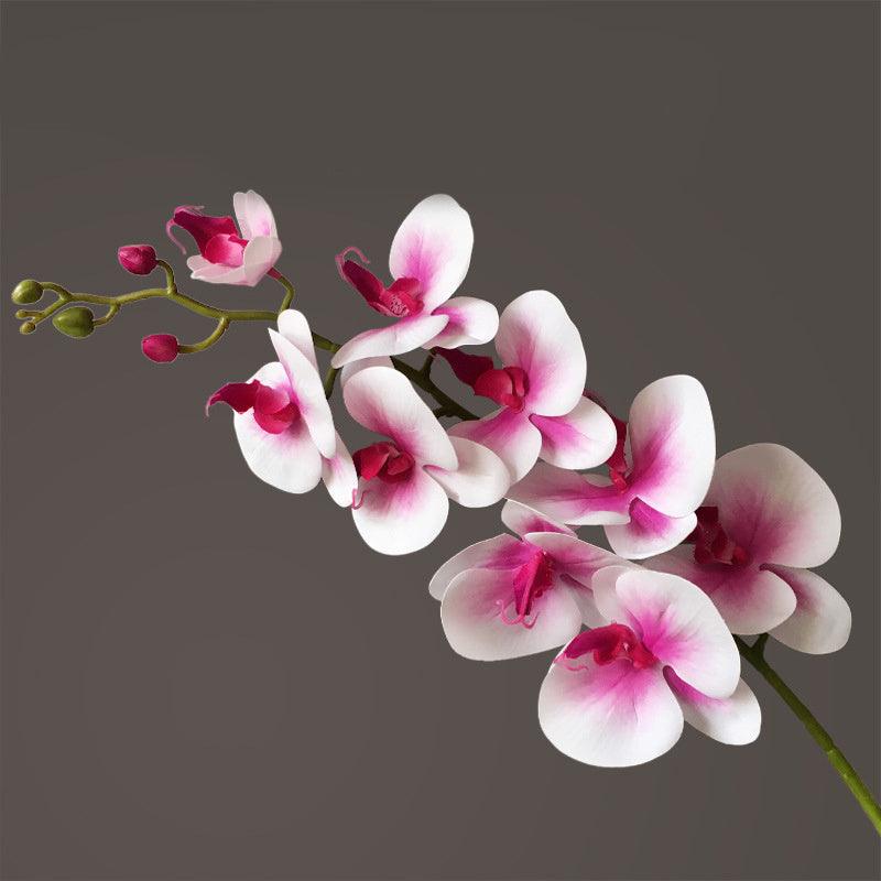 Artificial Flower Film Phalaenopsis Nine Heads Single Branch Artificial Flower Feel Home Living Room Decoration Flower Arrangement - Pacisia