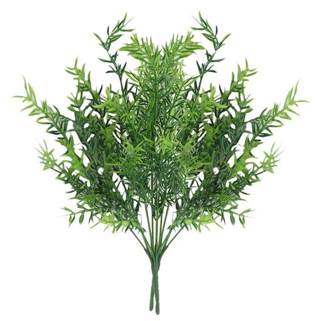 7 fork water grass - Pacisia