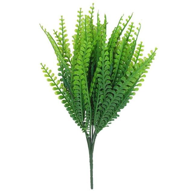 7 fork water grass - Pacisia
