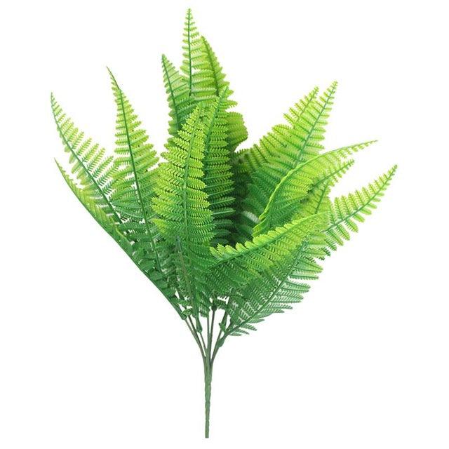 7 fork water grass - Pacisia