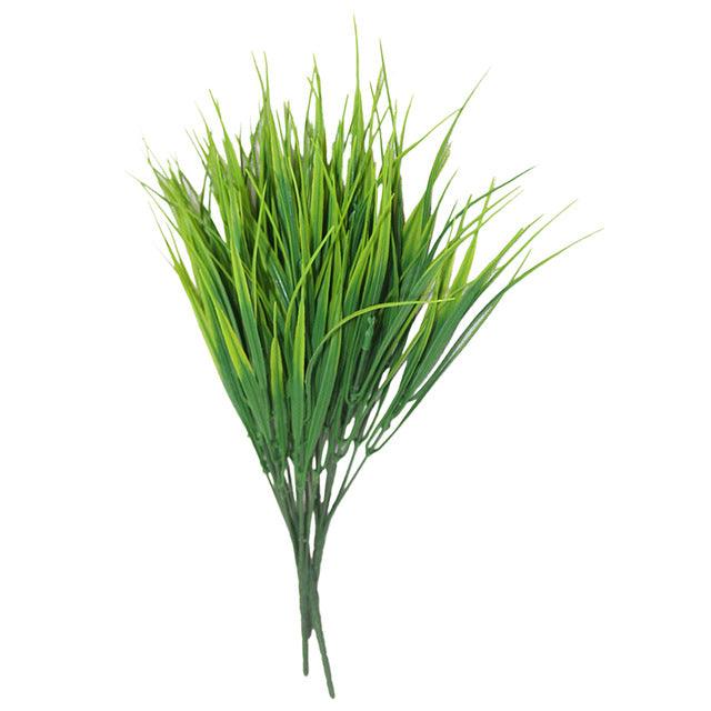 7 fork water grass - Pacisia