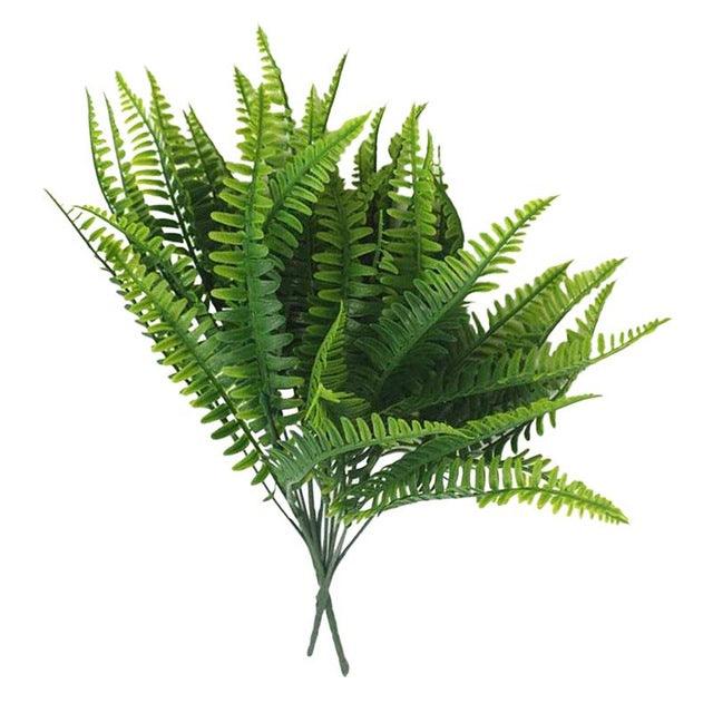7 fork water grass - Pacisia