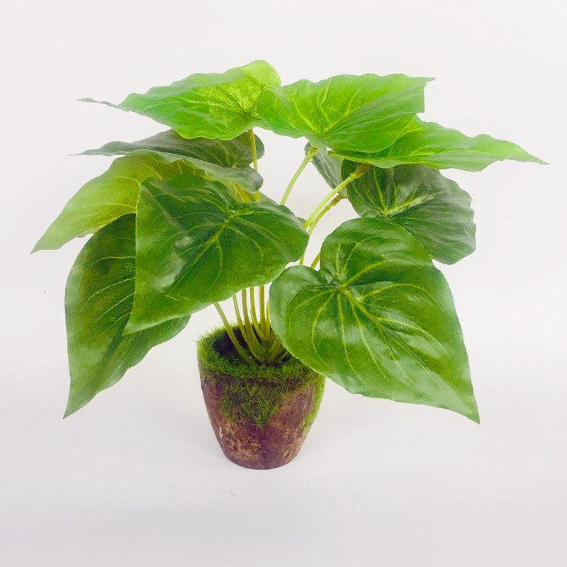 Artificial Green Plants Potted Artificial Flowers Small Ornaments - Pacisia