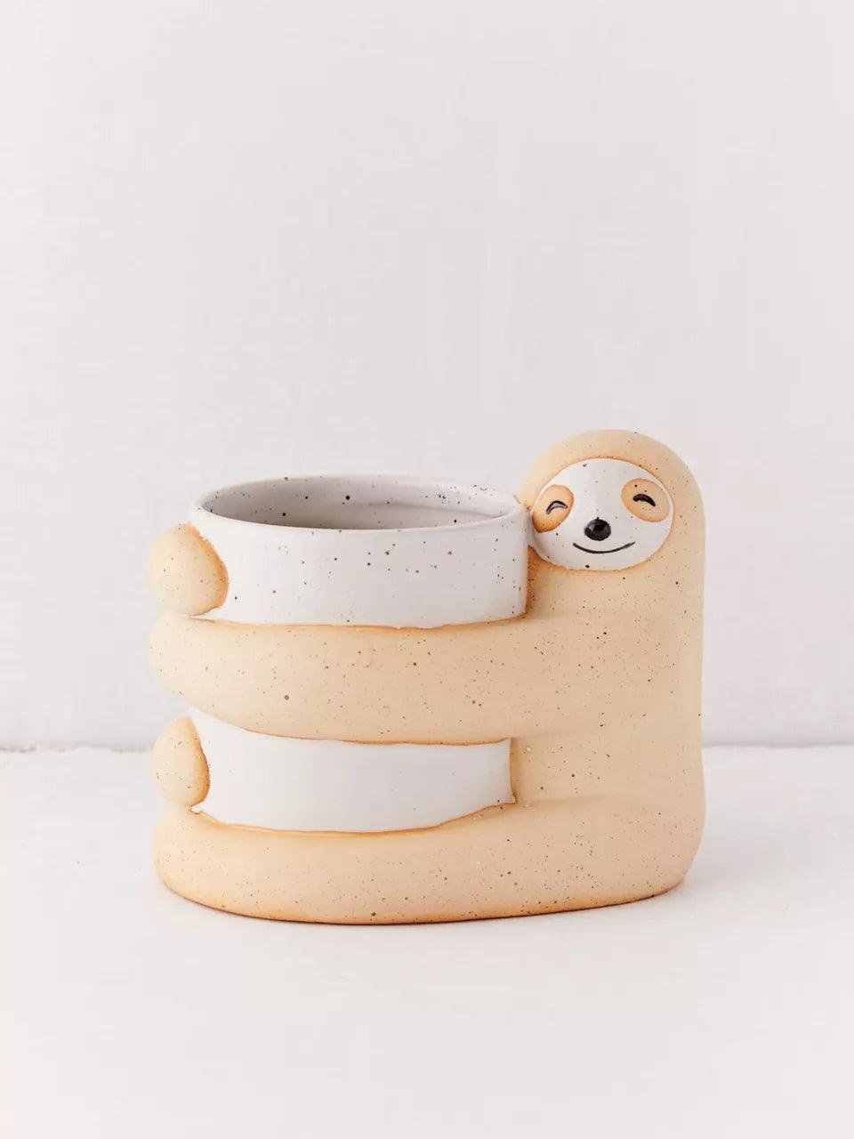 Cute, Creative And Green Plant Potted Plants - Pacisia