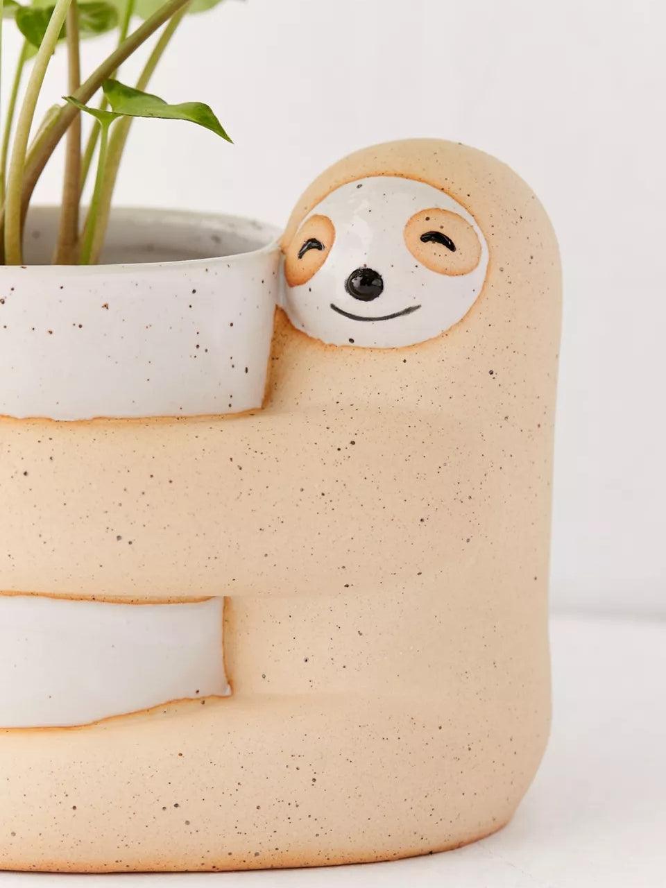 Cute, Creative And Green Plant Potted Plants - Pacisia