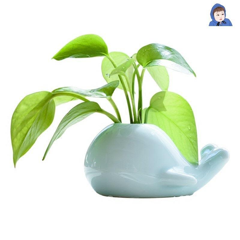 Fashion Creative Whale Elephant Ceramic Small Vase - Pacisia