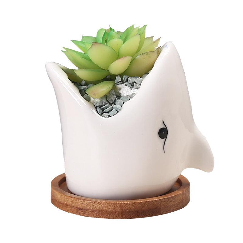 Succulent Pot Creative Cartoon Ceramic Flower Pots European-style Simple Indoor Desktop Pots For Plants Office Decor Planters - Pacisia