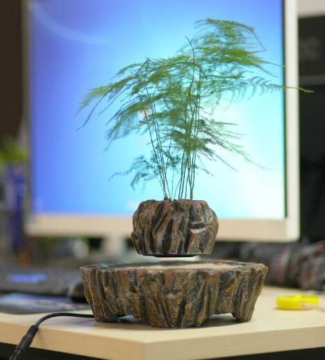 Floating Pot Plant - Pacisia