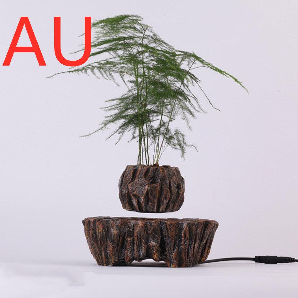 Floating Pot Plant - Pacisia