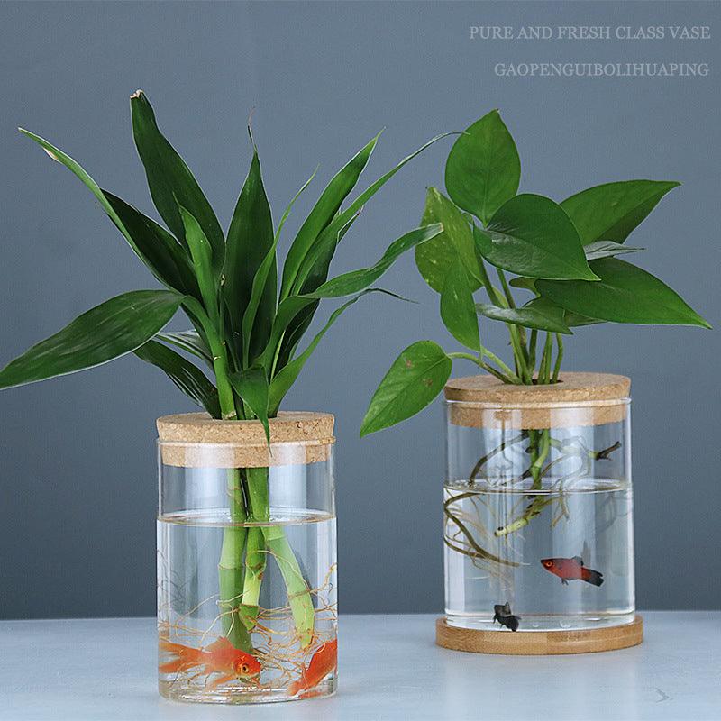 Indoor Green Plant Decoration Glass Bottle For Hydroponic Plants - Pacisia