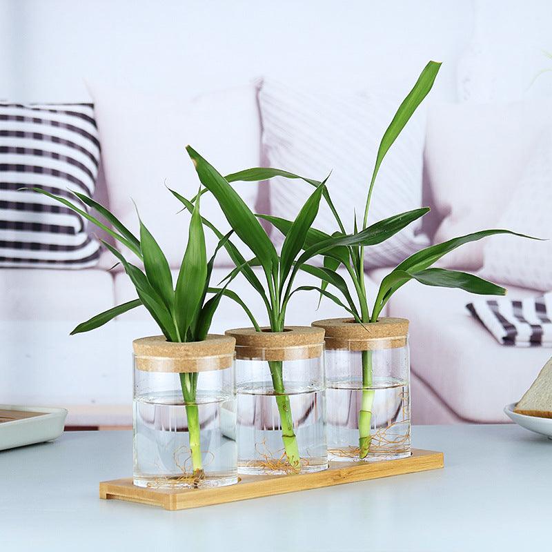 Indoor Green Plant Decoration Glass Bottle For Hydroponic Plants - Pacisia