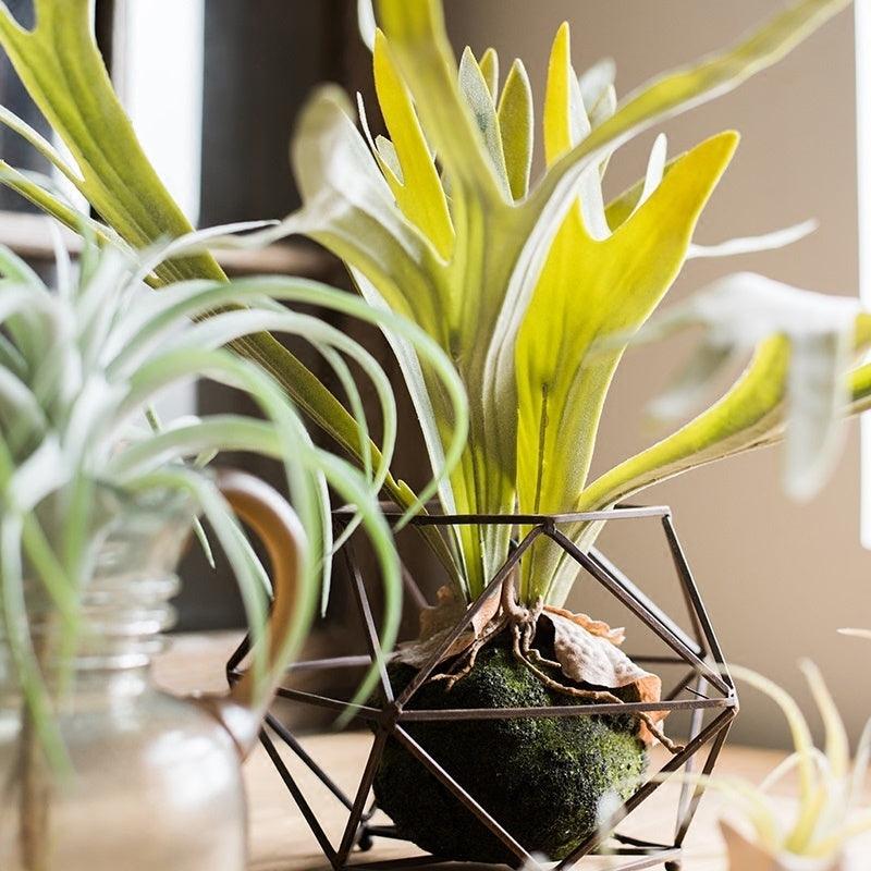 Large staghorn fern artificial flower - Pacisia