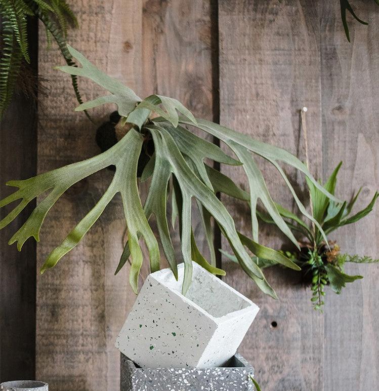 Large staghorn fern artificial flower - Pacisia