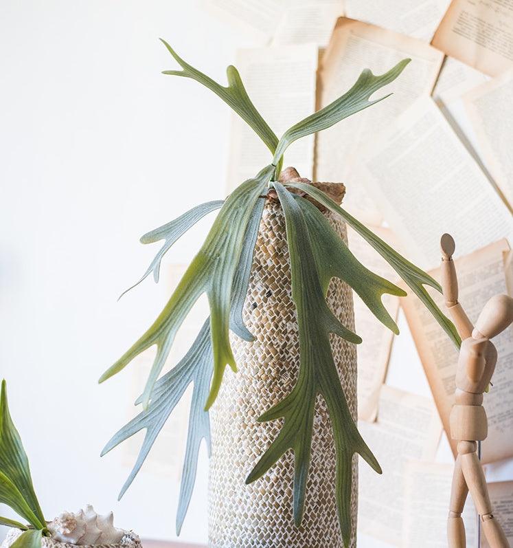 Large staghorn fern artificial flower - Pacisia