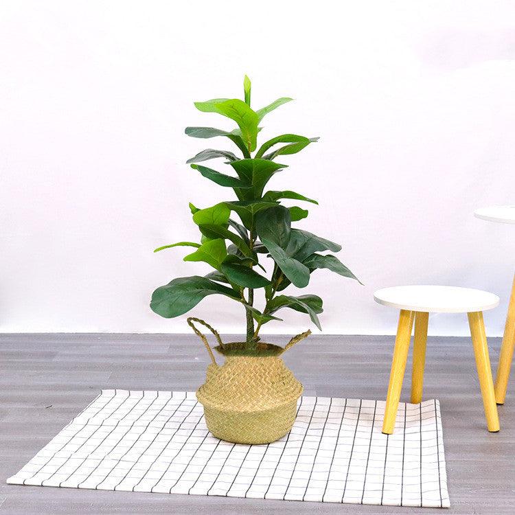 Bonsai Decorated With Fake Trees And Artificial Plants - Pacisia