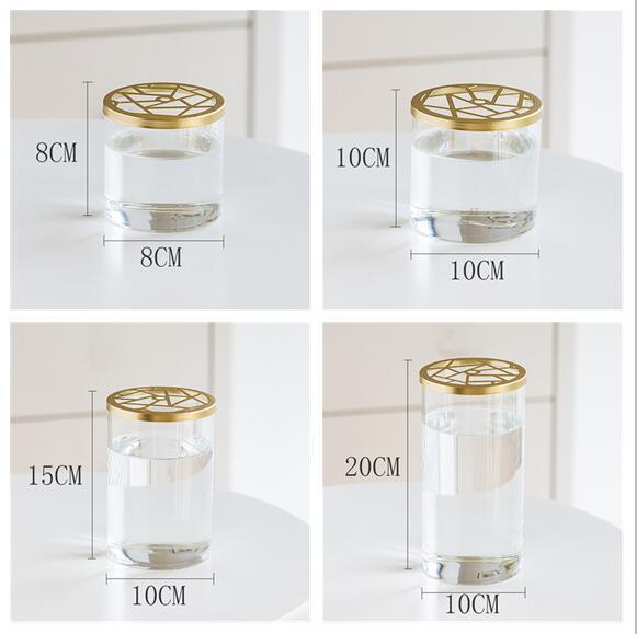 Nordic Transparent Glass Vase Golden Grid Cover Living Room Flower - Pacisia