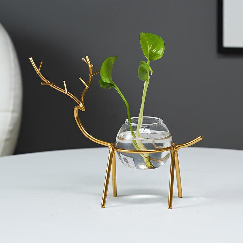 Office Desk Living Room Succulent Green Dill Water Plant Vase Decoration - Pacisia