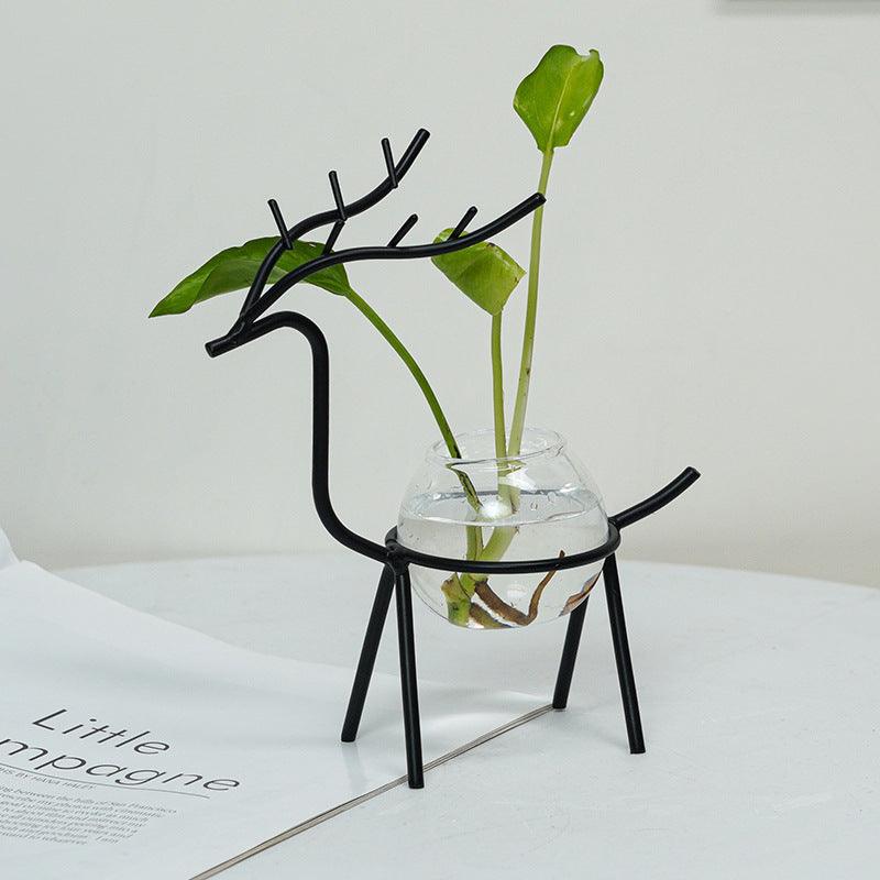 Office Desk Living Room Succulent Green Dill Water Plant Vase Decoration - Pacisia