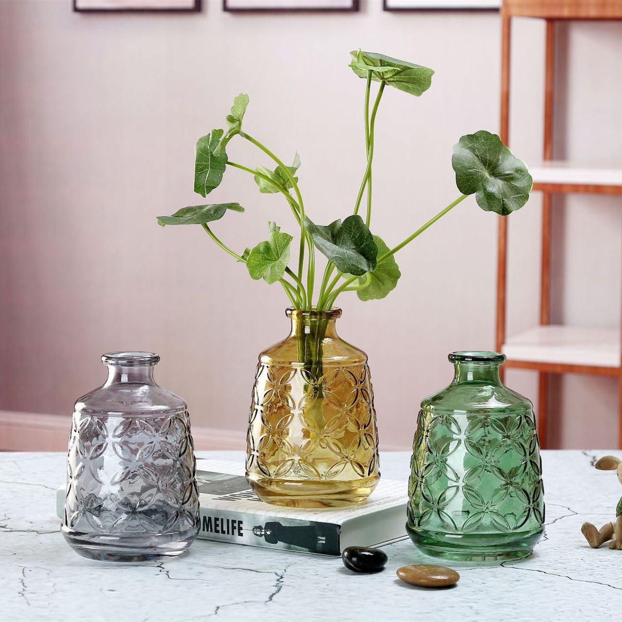 Thicken Nordic Embossed Retro Glass Vase - Pacisia