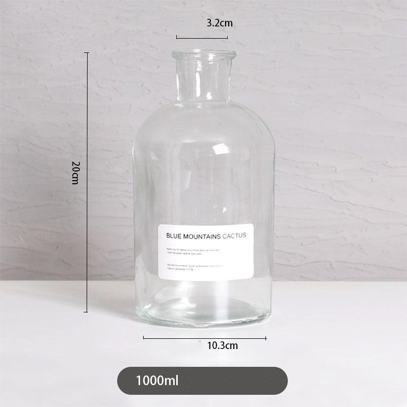 Vase home floral decoration ornaments hydroponic plant bottle - Pacisia