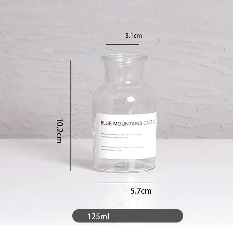 Vase home floral decoration ornaments hydroponic plant bottle - Pacisia
