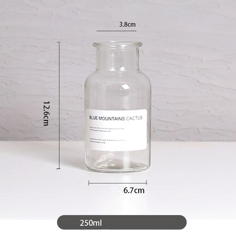 Vase home floral decoration ornaments hydroponic plant bottle - Pacisia