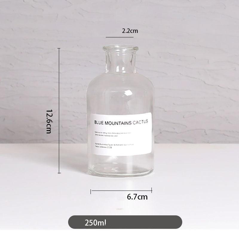 Vase home floral decoration ornaments hydroponic plant bottle - Pacisia