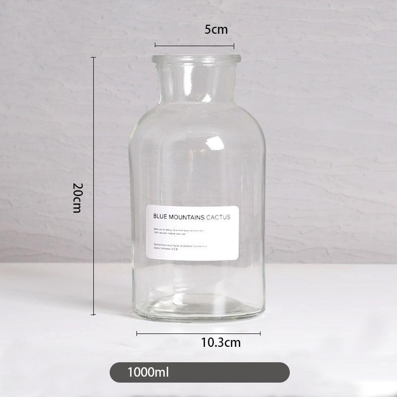 Vase home floral decoration ornaments hydroponic plant bottle - Pacisia
