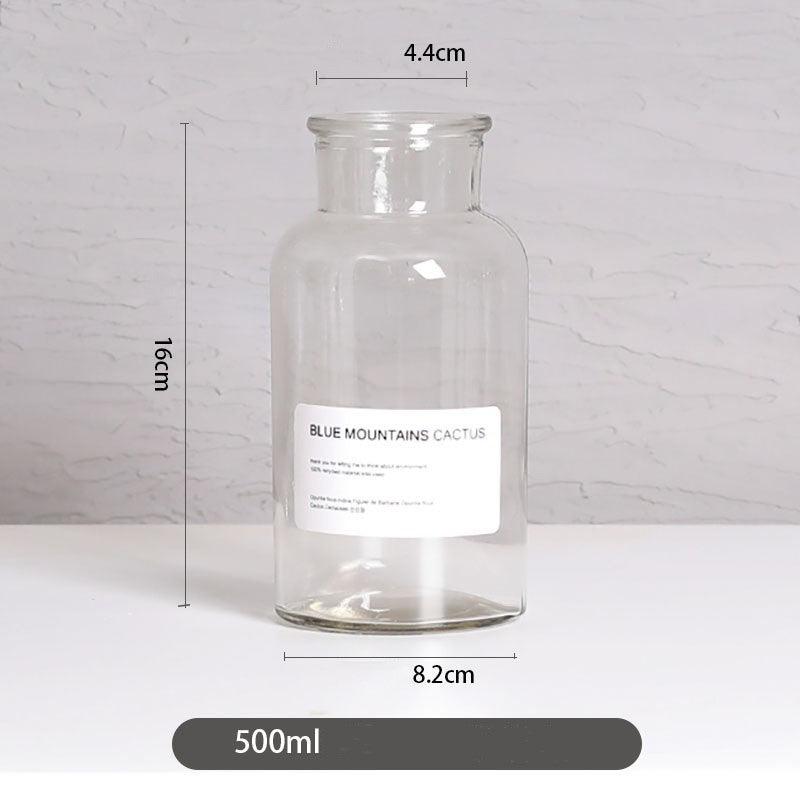 Vase home floral decoration ornaments hydroponic plant bottle - Pacisia