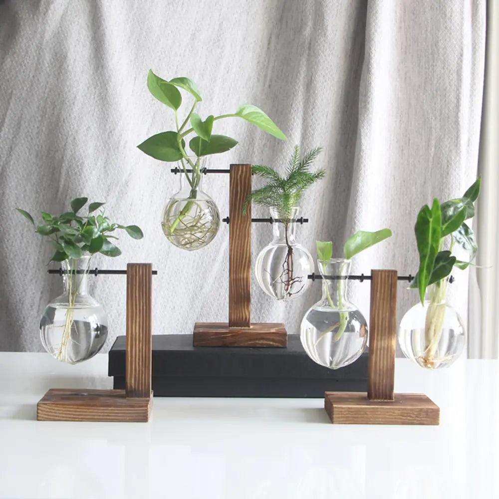 Glass and Wood Vase Planter Table Desktop - Pacisia