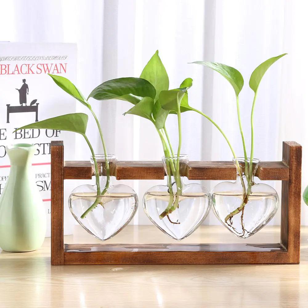 Glass and Wood Vase Planter Table Desktop - Pacisia