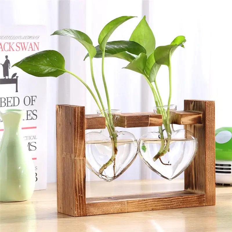 Glass and Wood Vase Planter Table Desktop - Pacisia