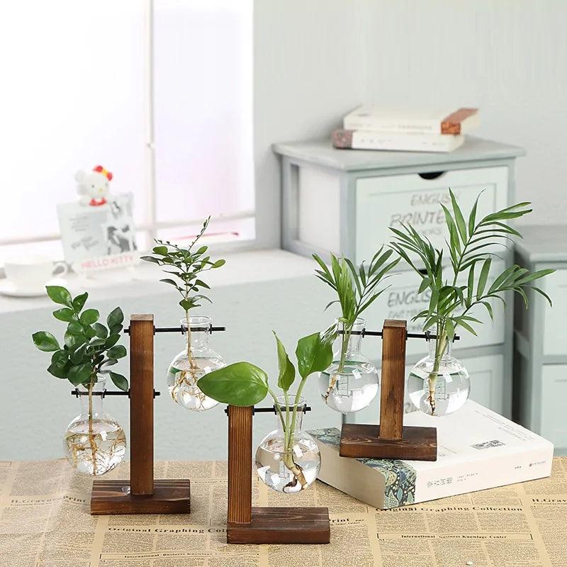 Hydroponic Transparent Plant Vases - Pacisia