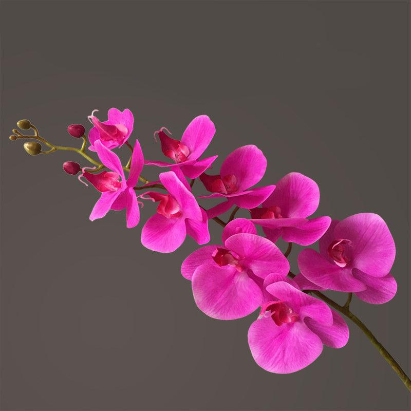 Artificial Flower Film Phalaenopsis Nine Heads Single Branch Artificial Flower Feel Home Living Room Decoration Flower Arrangement - Pacisia
