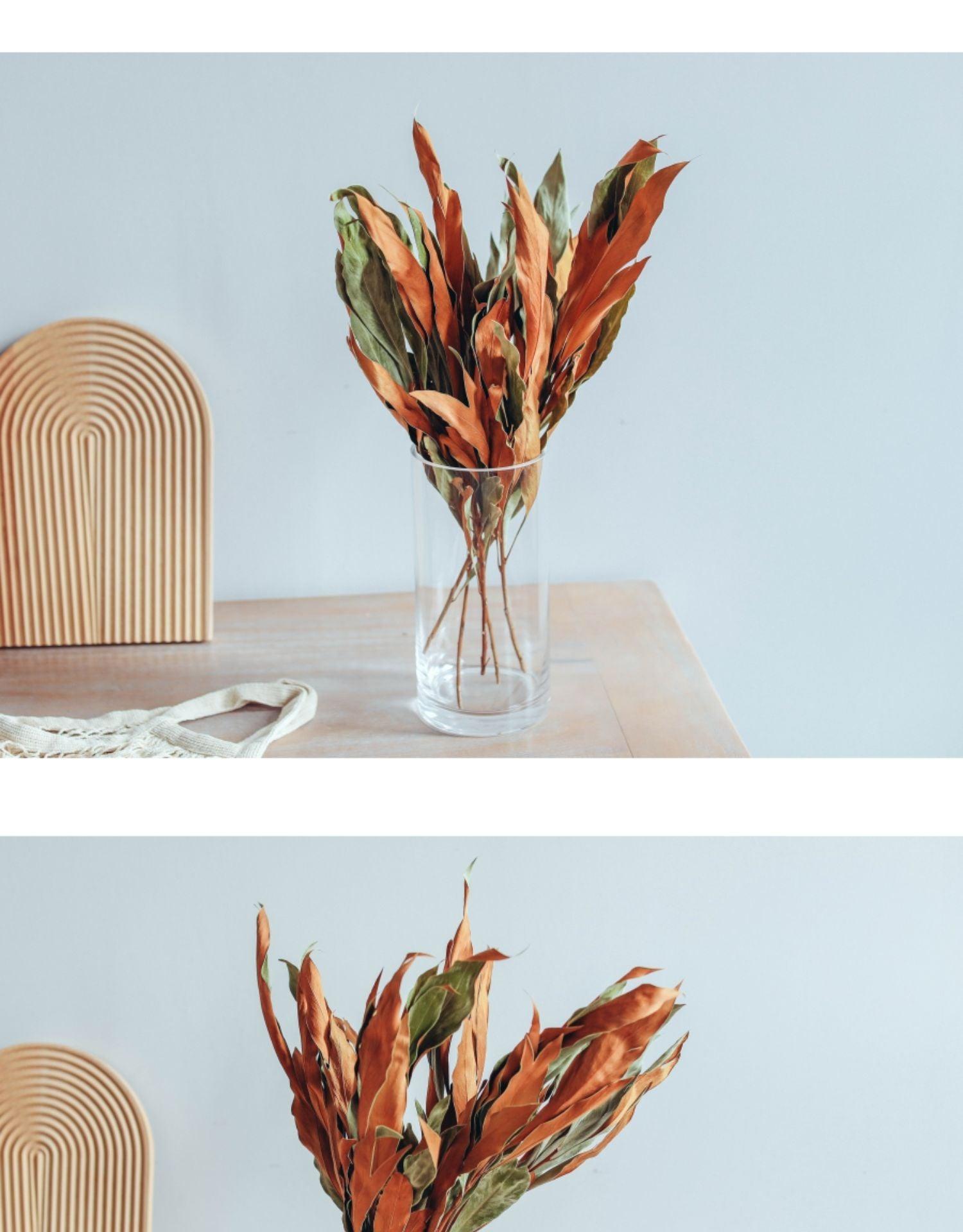 European Imported Double-Sided Leaf Dried Flowers Japanese Retro Style Natural Real Flower Bouquet - Pacisia