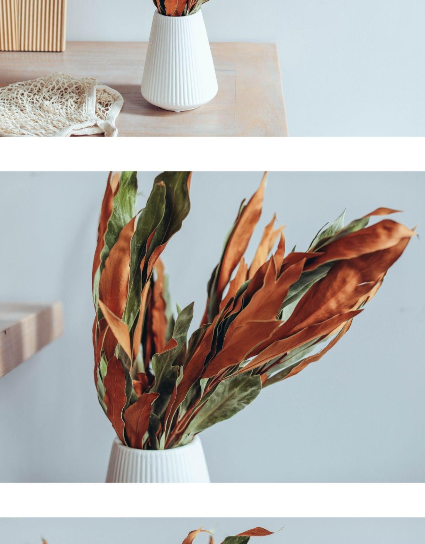 European Imported Double-Sided Leaf Dried Flowers Japanese Retro Style Natural Real Flower Bouquet - Pacisia