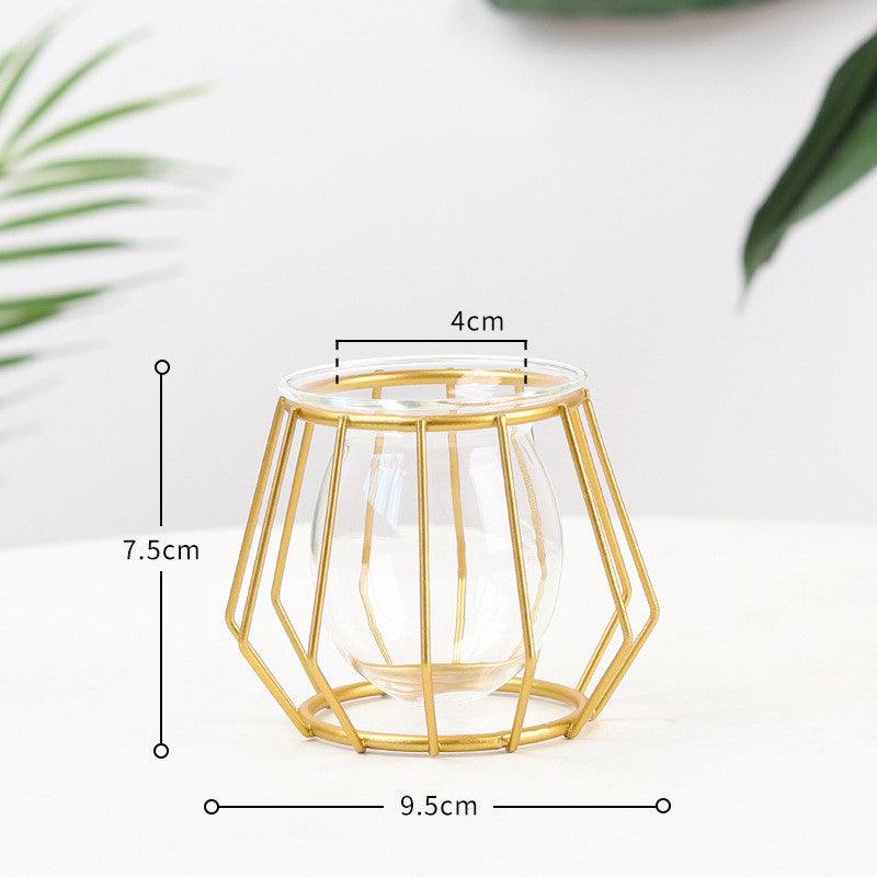 Simple Ins Hydroponic Small Vase Creative Glass Transparent Flower Water Plant Decoration Ornaments - Pacisia