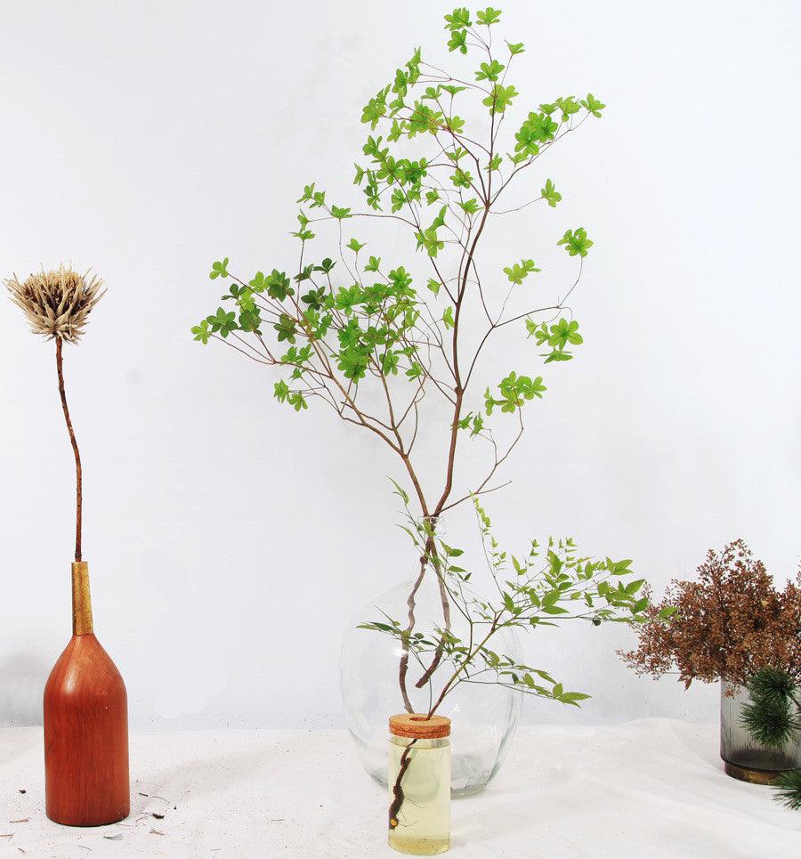 Japanese Bell Horse Drunk Wood Nantian Bamboo Nordic Style Simple Thin Mouth Big Belly Bottle Vase Transparent Indoor Flower Arranging Device - Pacisia