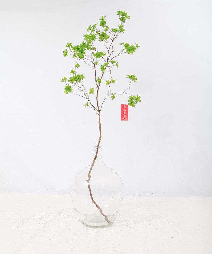 Japanese Bell Horse Drunk Wood Nantian Bamboo Nordic Style Simple Thin Mouth Big Belly Bottle Vase Transparent Indoor Flower Arranging Device - Pacisia