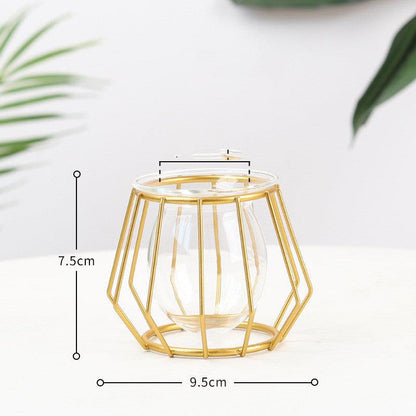 Nordic Minimalist Wrought Iron Geometric Glass Test Tube Hydroponic Vase Home Desktop Decoration - Pacisia