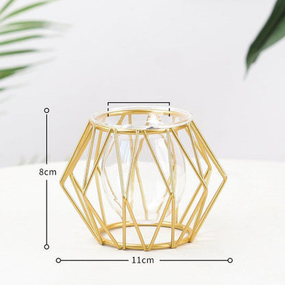 Nordic Minimalist Wrought Iron Geometric Glass Test Tube Hydroponic Vase Home Desktop Decoration - Pacisia