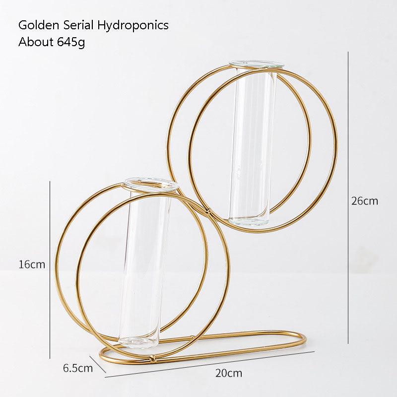 Nordic Style Simple Geometric Metal Wrought Iron Transparent Glass Hydroponic Vase - Pacisia