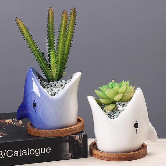 Succulent Pot Creative Cartoon Ceramic Flower Pots European-style Simple Indoor Desktop Pots For Plants Office Decor Planters - Pacisia