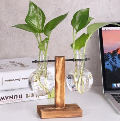 Glass Wood Vase Table Desktop Hydroponics Plant Stationery Bonsai Flower Pot Decoration Hanging Pots with Wooden Tray Pen Holder - Pacisia