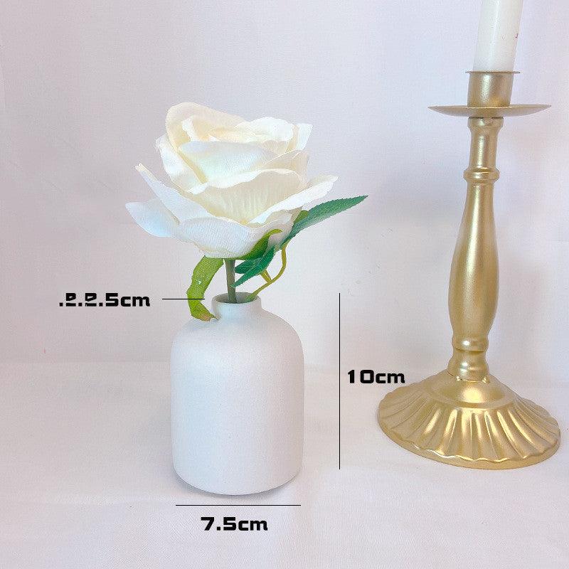 Ceramic Vase Decoration Accessories Desktop Flower Arrangement Container Hydroponics Flower Vase - Pacisia