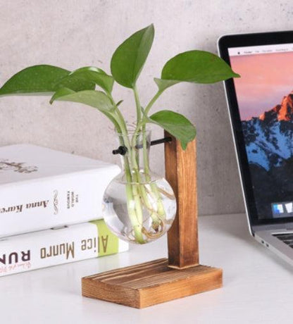 Glass Wood Vase Table Desktop Hydroponics Plant Stationery Bonsai Flower Pot Decoration Hanging Pots with Wooden Tray Pen Holder - Pacisia