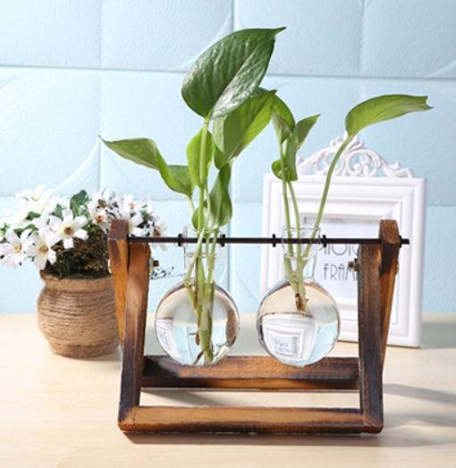 Glass Wood Vase Table Desktop Hydroponics Plant Stationery Bonsai Flower Pot Decoration Hanging Pots with Wooden Tray Pen Holder - Pacisia