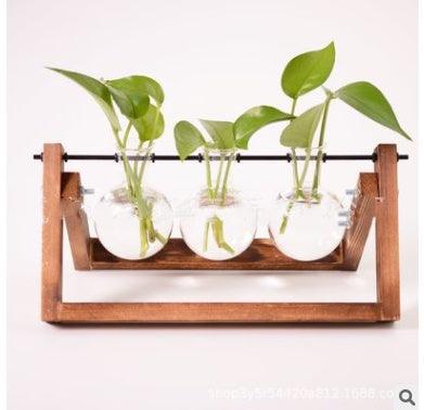 Glass Wood Vase Table Desktop Hydroponics Plant Stationery Bonsai Flower Pot Decoration Hanging Pots with Wooden Tray Pen Holder - Pacisia