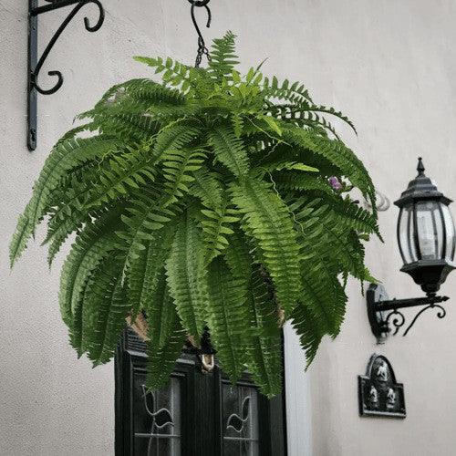 Artificial Fern Flower Arrangement Green Plant Plastic Crafts - Pacisia