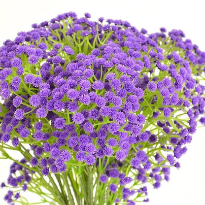 Artificial Flower Gypsophila Bride Holding Wedding Decoration Wedding Supplies - Pacisia